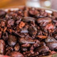 Roasted Cocoa Beans