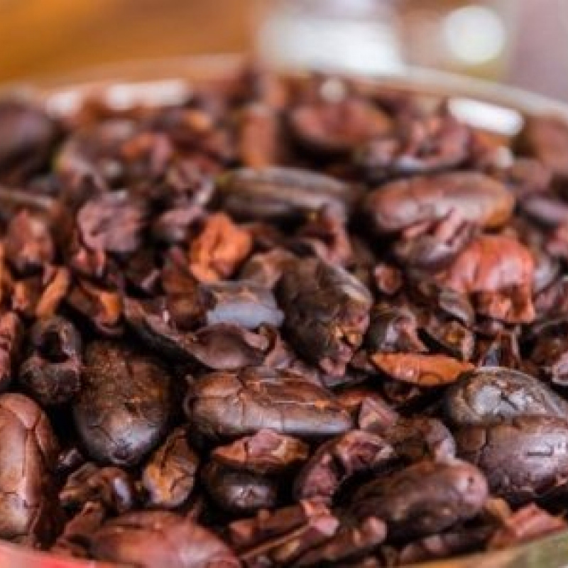Roasted Cocoa Beans