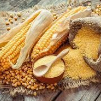 Corn Gluten Meal