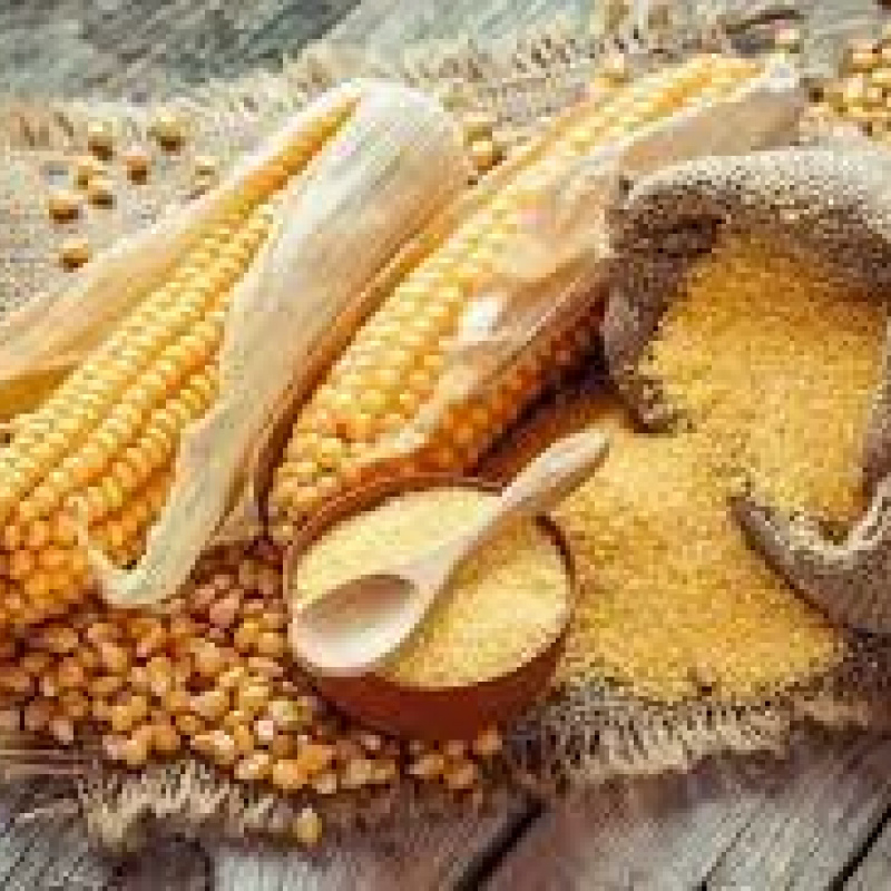 Corn Gluten Meal