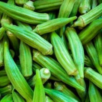 Fresh Okra