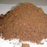 Fish Meal