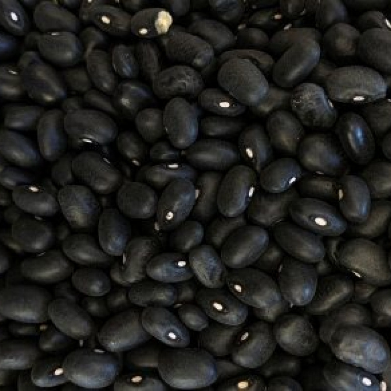 Organic Black Beans