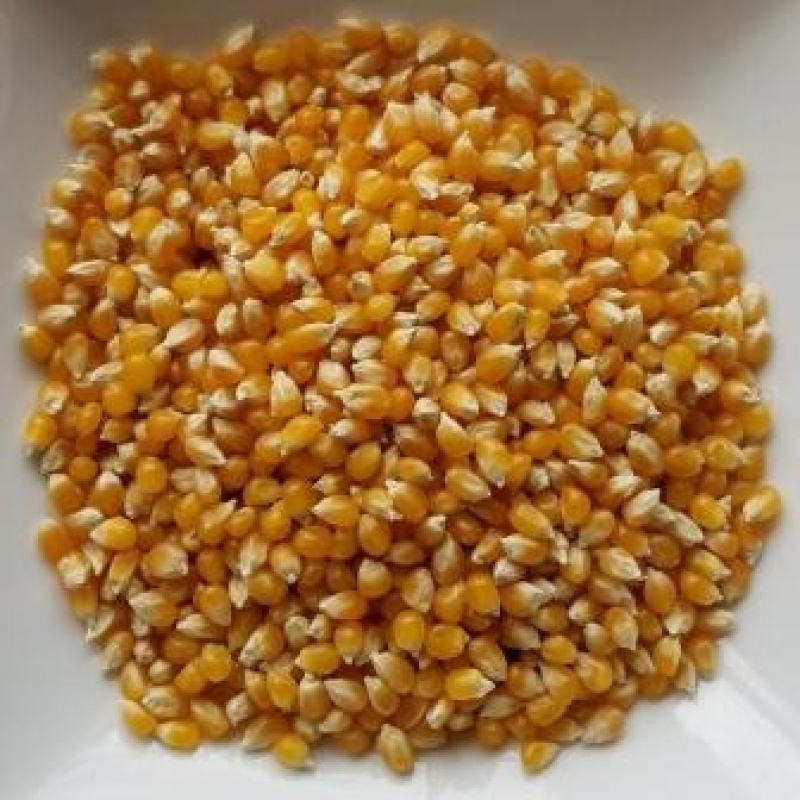 Popcorn