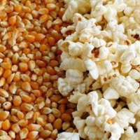 Popcorn