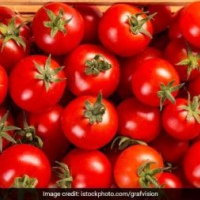 Fresh tomatoes