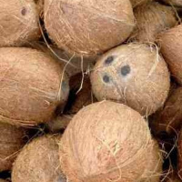 Fresh coconut