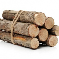 Wood Log
