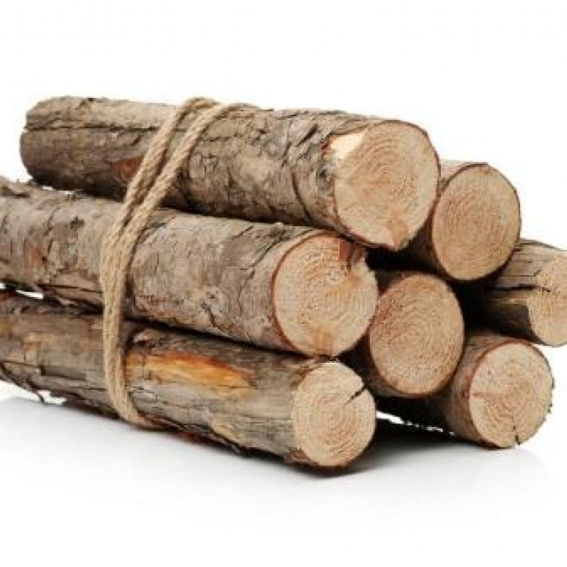 Wood Log
