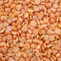 Red lentils