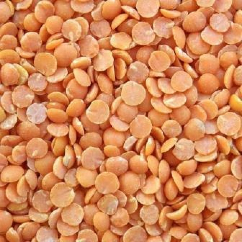 Red lentils