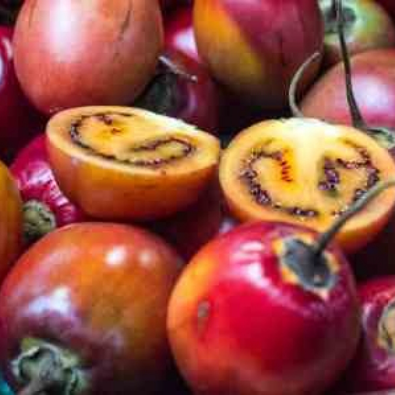 Tamarillo