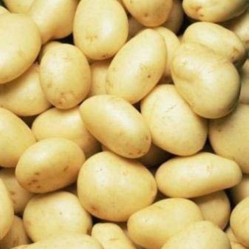 fresh potatoes