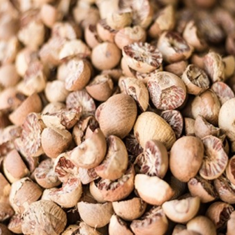 Betel Nuts