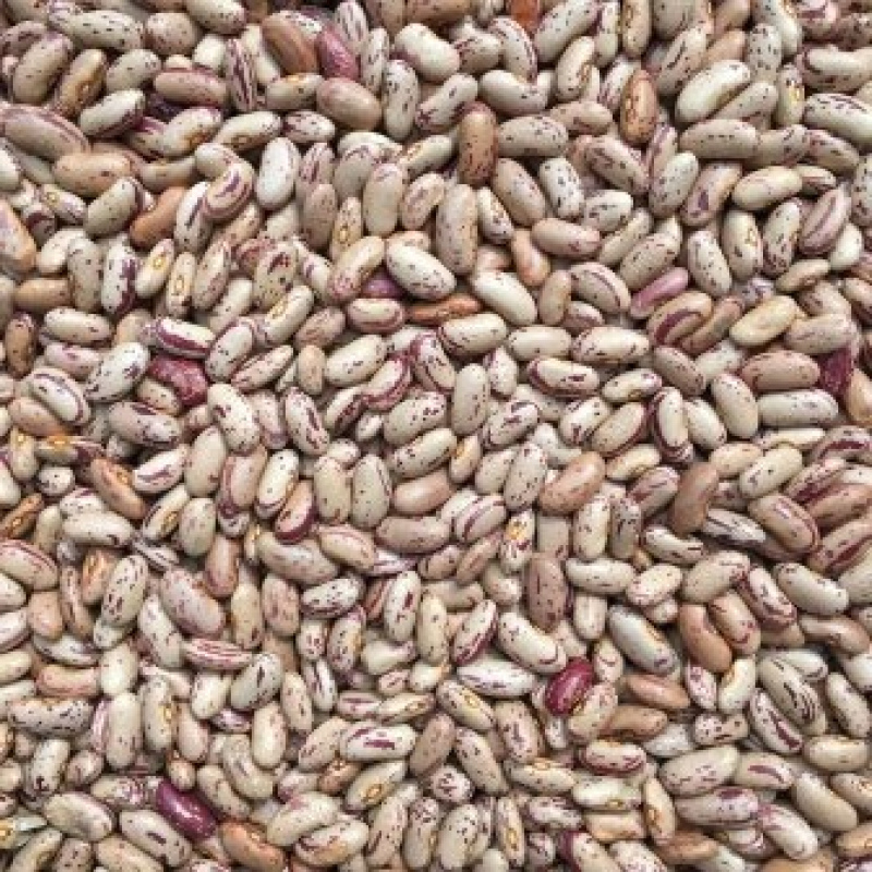 Pinto Beans Organics