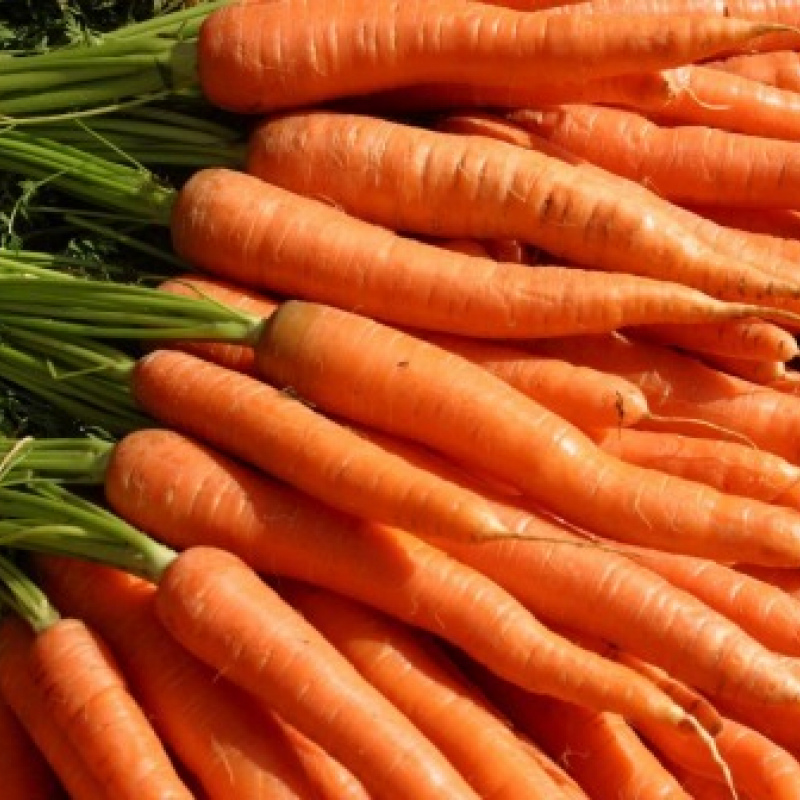 Fresh carrots