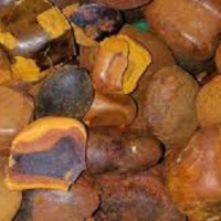 Ox Gallstone
