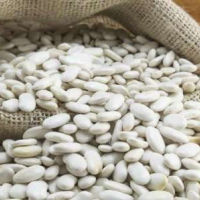 White Kidney Beans